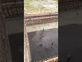 water Curing work at Swimming pool #construction #civilengeenring #farmhouse