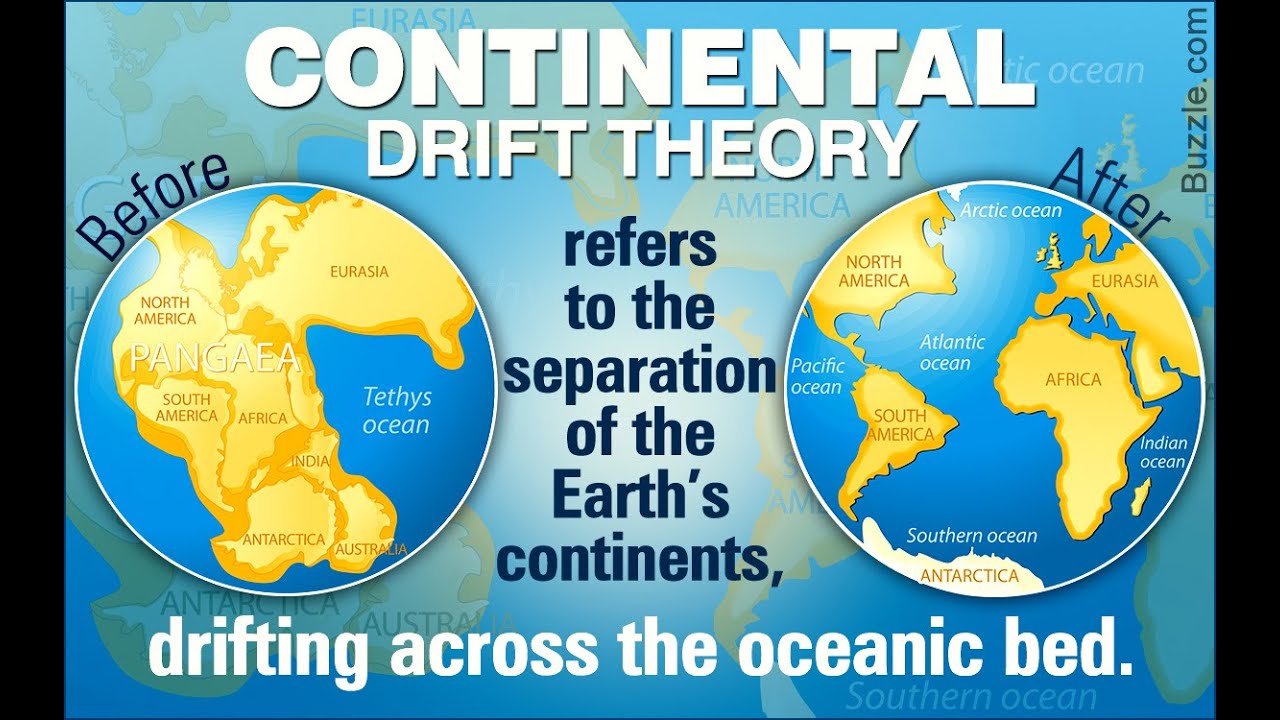 What is continental drift theory? Biology expert. YouTube