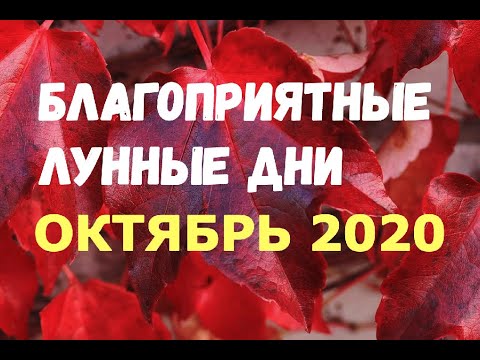 Лунный календарь на октябрь 2020/В КАКИЕ ДНИ УДАЧА ШАГАЕТ РЯДОМ