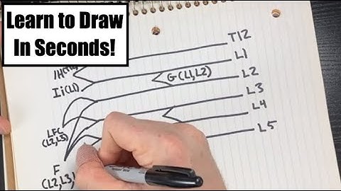 Lumbar Plexus Drawing - Lumbar Plexus Made Easy!