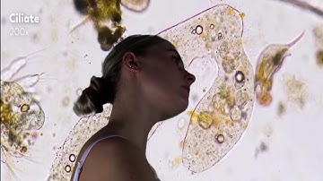 Eilie Boddington n10530514 - KPB217  Screen Crafts: Experiments - Inside Me