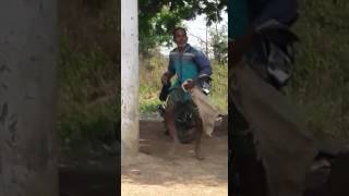 New sambalpuri dance video….for whatsapp