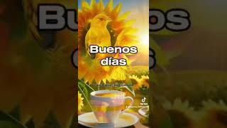 QUIEREN VIVIR CON LOS LUJOS QUE YO QUIERO VIVIR, ESOS SON LUJOS DE  VERDAD