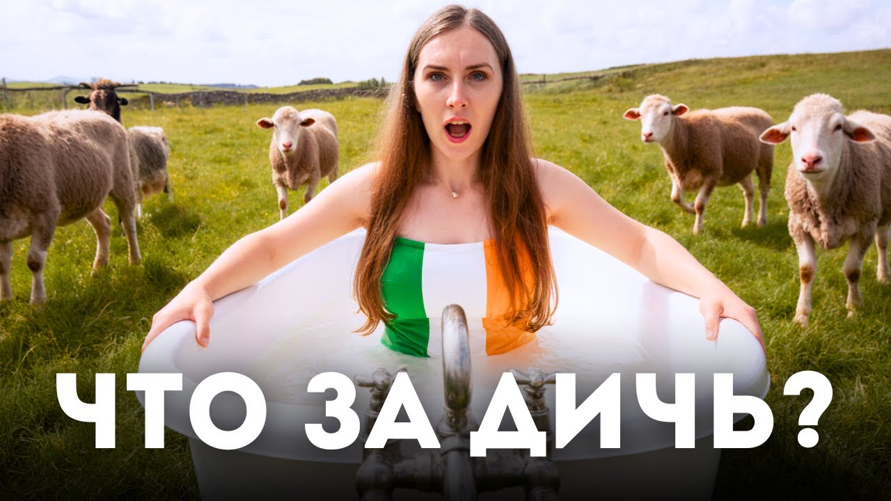 Бытовой кошмар Ирландии: плесень, холод, что еще?