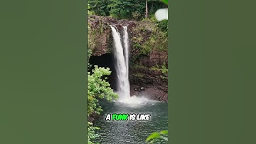 The Pointless Funk: Relatable Thoughts on Life