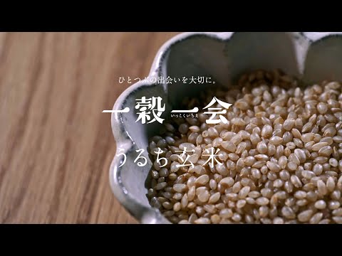 ひろこうるち米玄米 hqdefault.jpg
