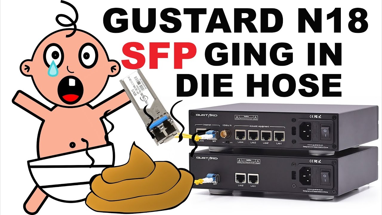Gustard N18 und das SFP-Problem   #streaming #networkswitch #sfp