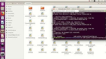 mininet socket programming