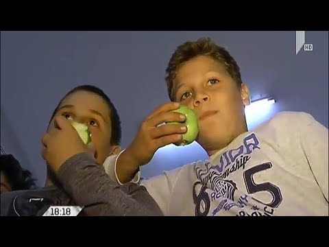 საჯარო სკოლებში მოსწავლეებისთვის ვაშლის დარიგება დღეიდან დაიწყო