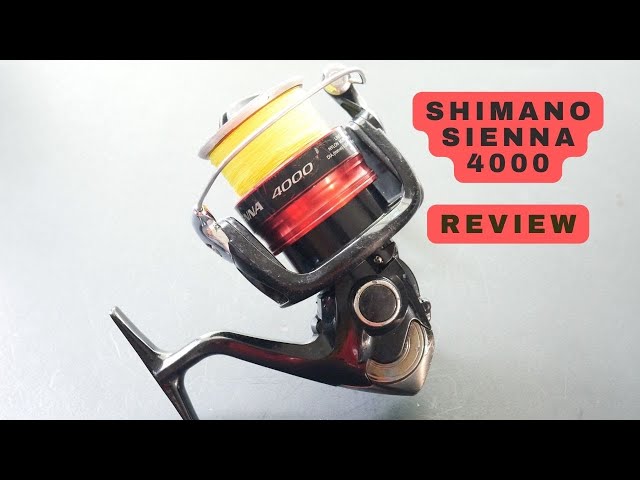 Shimano Sienna 4000 Review - One Year Of Big Fish 