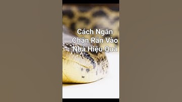 cách xua đuổi rắn  #amazingfacts #animals #facts #nganchanran #duoiran #meonganran #keepsnakesout