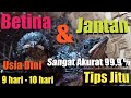 Download Lagu Ciri-ciri fisik anakan murai batu‼️jantan dan betina di usia dini‼️ #MuraiBatuMedan #TernakMuraiBatu