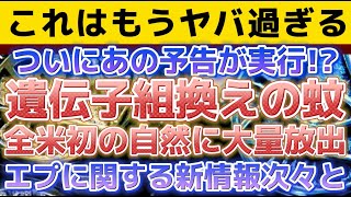 【とうとう来てしまった：あのゲッツがまたも予言を自ら有言実行？！全米で初の遺●子組み換えモスキートを自然に大規模放出。】エプに関する新情報などなど。〔2倍速推奨〕