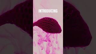 New Berkley Maxscent - Fish Just Cant Resist