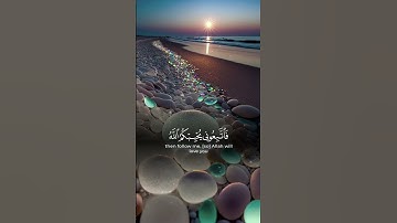 سورة ال عمران #القرآن_الكريم #الحمدلله #السعودية #العراق
