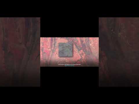 كشف عروق و خلايا الذهب عن طريق الأقمار الصناعيه الاستشعار عن بعد