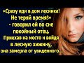 «Сразу иди в дом лесника! Не теряй время!» - говорил ей во сне покойный отец...