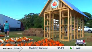 Fall Fun arrives in Pascagoula as First Methodist Church Pumpkin Patch opens