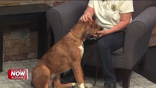 Pet of the Week - May 26, 2026