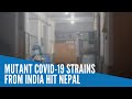 Mutant COVID-19 strains from India hit Nepal