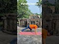 Parswa Danda...@Chusathi yogini temple #healthyaging #morningpractice #dandbaithak #yoga#yogalife