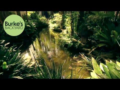 Burke's Backyard, Beach Tropical Garden