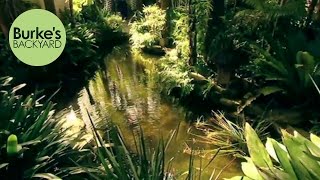 Burke's Backyard, Beach Tropical Garden