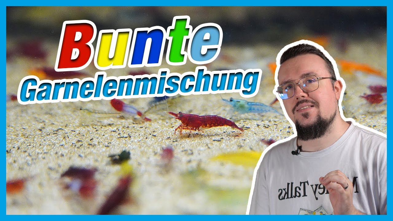 Sind bunte Mischungen sinnvoll?