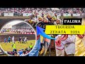 Tbourida zenata 2024 PALOMA