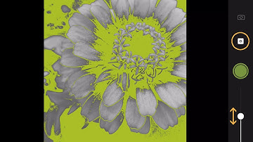 1 of 5 -  Create Vector Graphic with Adobe Capture CC