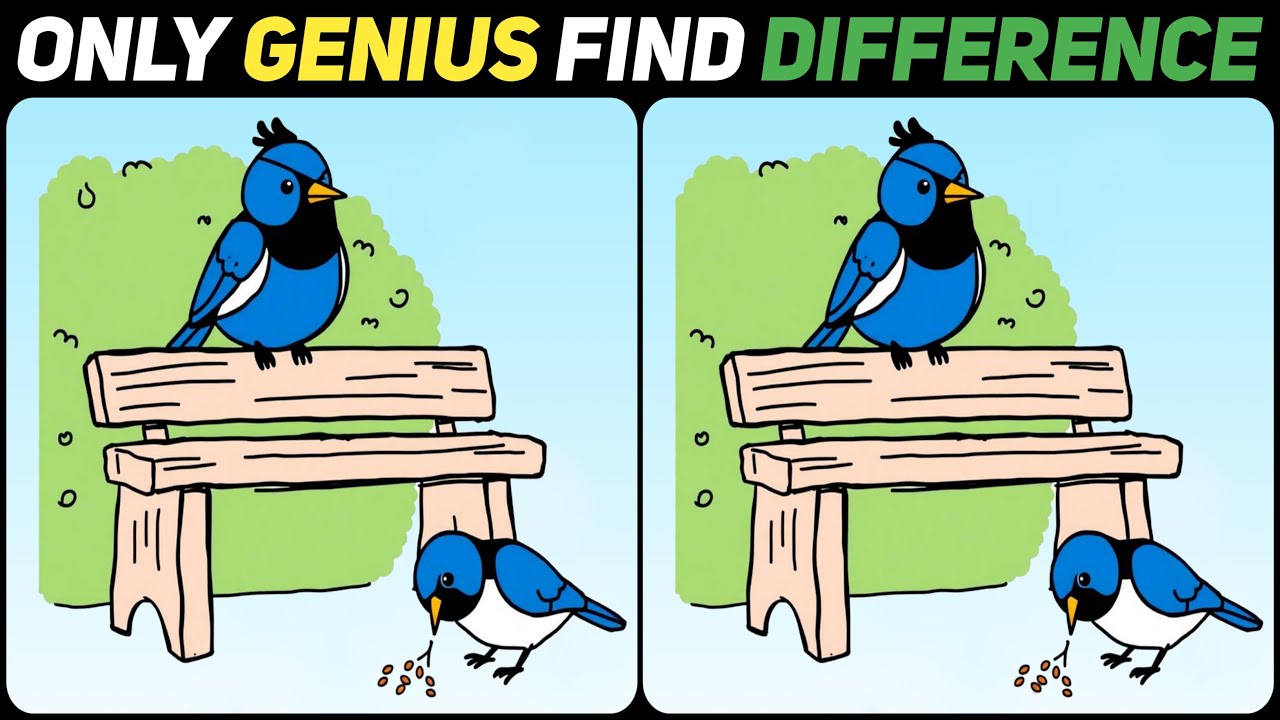 Only a True Genius Will Pass This Challenge!