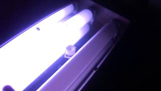 Older All Glass Aquariams Inc 80 watt fluorescent aquarium light