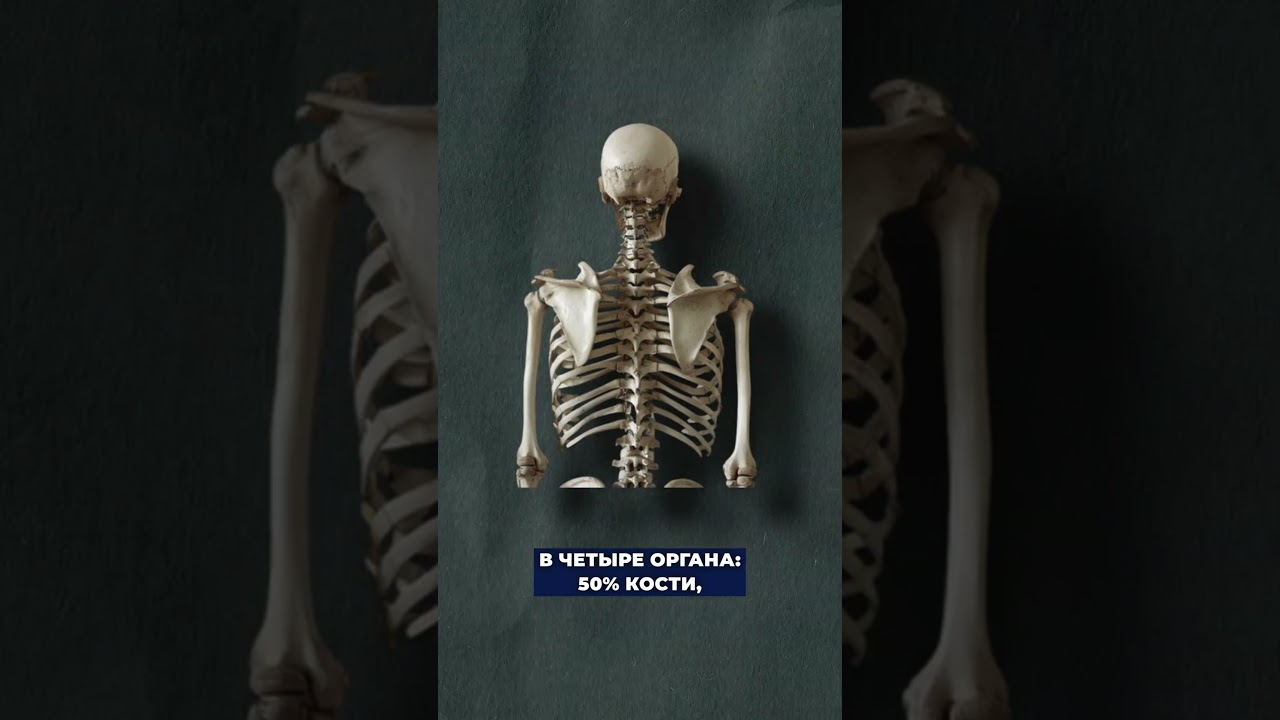 Рак груди куда дает метастазы. #онкология #рак #медицина #здоровье #лечение #врач #рмж