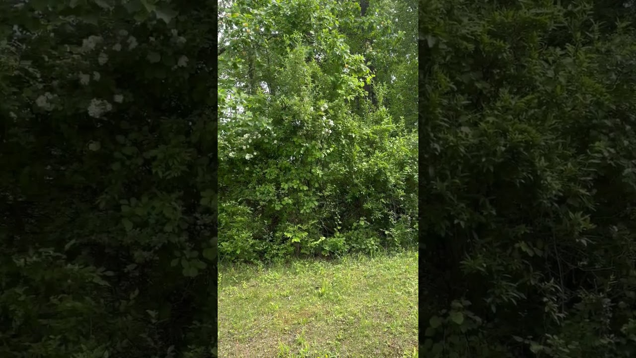 Chadds Ford S Fairville Rd Frontage