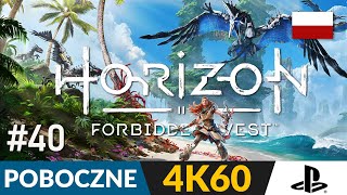Horizon Forbidden West PL 🌍 #40 - POB 🏹 Love Story | Gameplay po polsku