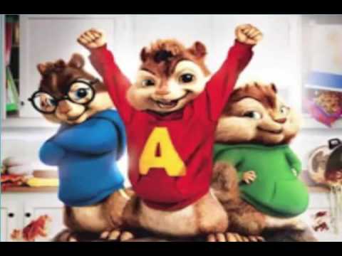 السناجب الثلاثة طاح على راسو 