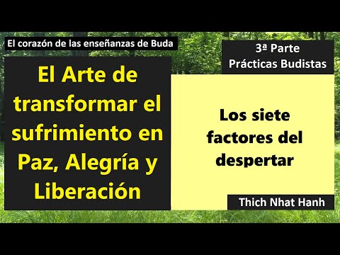 Los siete factores