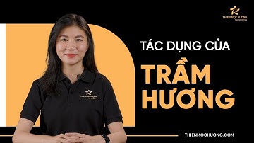 [Kiến Thức Trầm Hương] 10 Tác dụng của cây Trầm Hương | Tại sao Trầm Hương lại đắt như vậy?