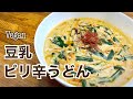 【ヴィーガン】最後の１滴まで飲み干せるヘルシースープ　豆乳ピリ辛うどん