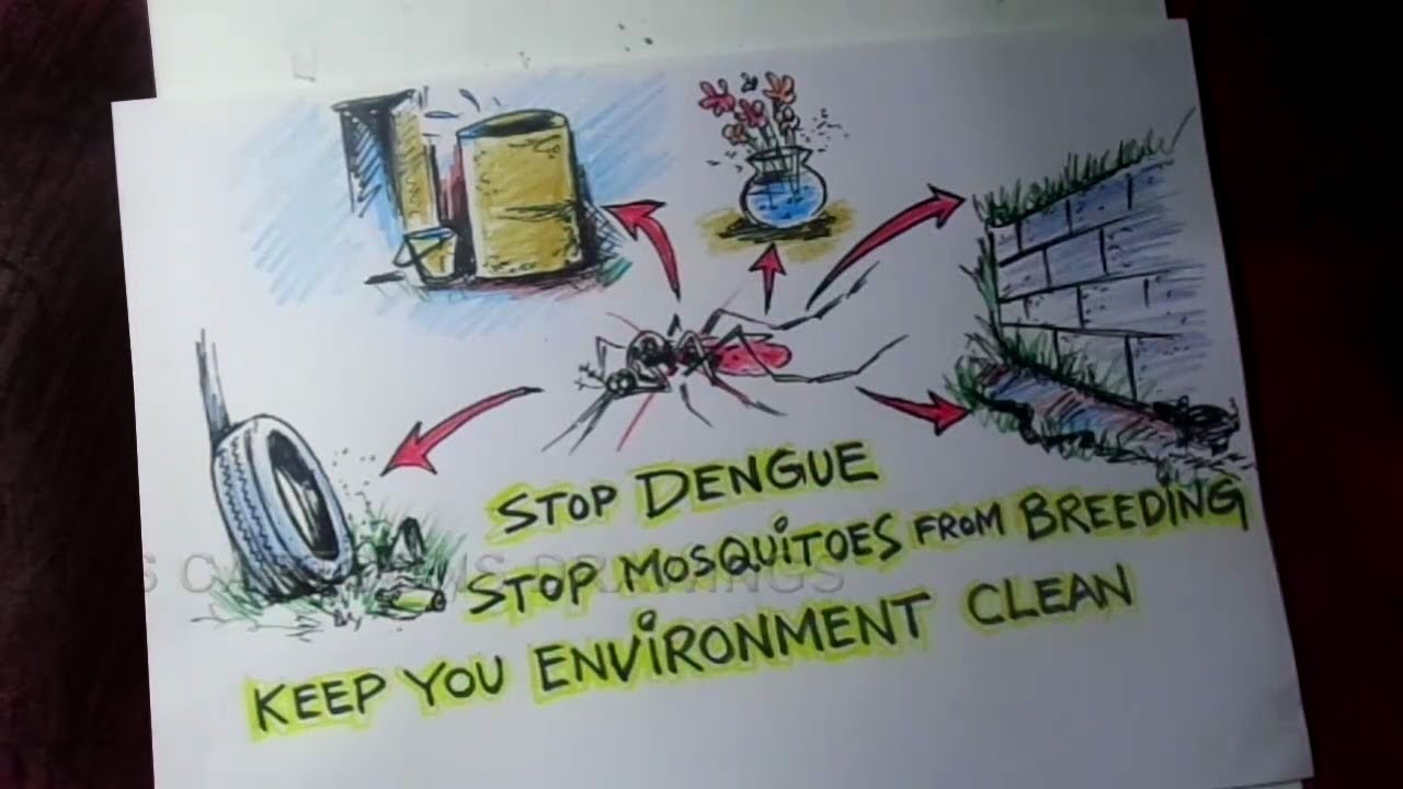 How to Draw DENGUE AWARENESS Poster Drawing - YouTube