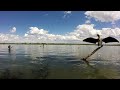 A szőke tó - A Tisza-tó hat évszaka 2.rész - Szendőfi Balázs előadása
