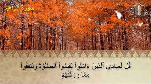 سورة ابراهيم (كاملة) ||تلاوة رائعة|| بصوت القارئ الشيخ عطية عبدالحميد