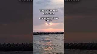 Suskun Dünya