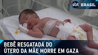 Morre bebê resgatada do útero da mãe morta após bombardeio em Gaza | SBT Brasil (26/04/24)