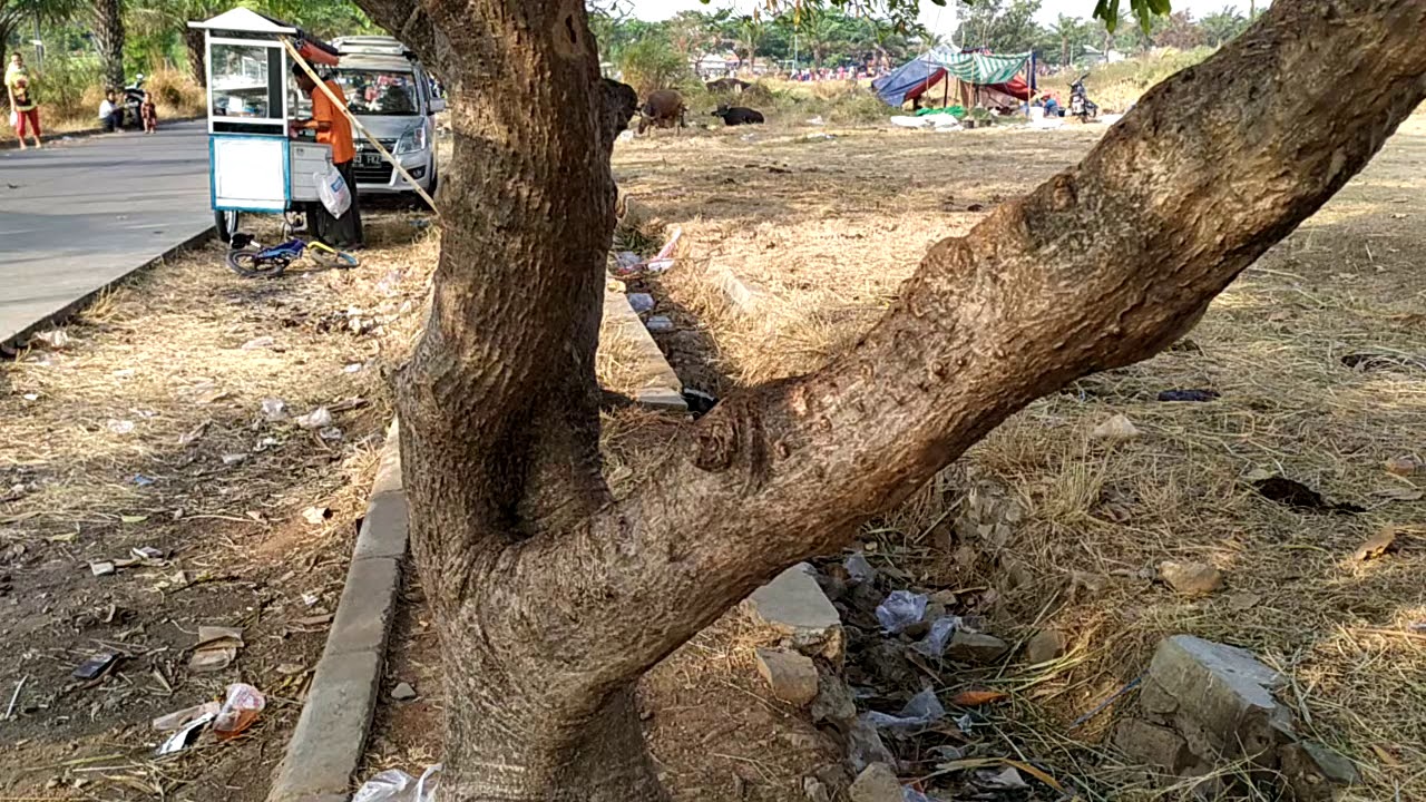 Lapangan Telaga Harapan
