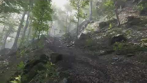 Unity Asset Store Pack - Forest Environment - Dynamic Nature (Download link below)