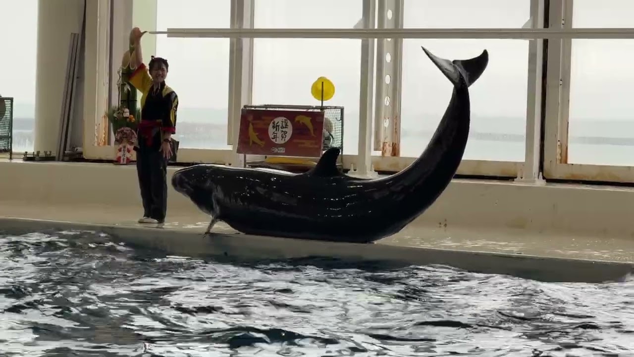 20260102大洗水族館02