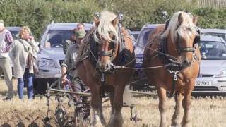 Download Ploughing North Cave National 02 10 16 Video MP3 Ploughing North Cave National 02 10 16