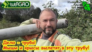видео: МЫШИ и КРЫСЫ НЕ СПАСУТСЯ - ВЫЛЕТЯТ В ТРУБУ! Как избавиться от мышей, крыс и землероек в саду и дома. картинка: МЫШИ и КРЫСЫ НЕ СПАСУТСЯ - ВЫЛЕТЯТ В ТРУБУ! Как избавиться от мышей, крыс и землероек в саду и дома.