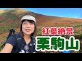 【50代母と】東北の紅葉を見に栗駒山へ！まさに神の絨毯だ〜！